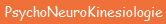PsychoNeuroKinesiologie