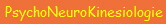PsychoNeuroKinesiologie