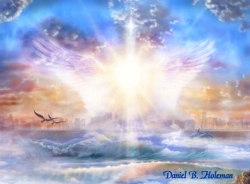 Enchanted Wings Enchanted Wings